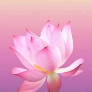 Unlisted Jewelry Items.